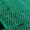 Paving Plastic Grass Grid for Sale