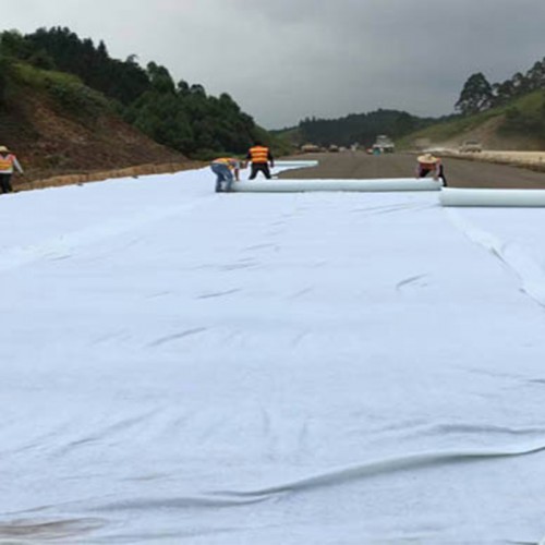 Factory Price 150g 200g 300g 400g 500g 800g 1000g Reinforced PP/Pet Polyester Woven/Nonwoven Geotextile Price for Road Construction