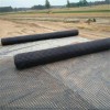 Plastic Mesh Grid Polypropylene PP Biaxial Geogrid Gravel Ground Geogrid for Driveway Road Soil Stabilizer