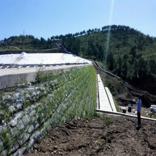 High Strength Ground Grid Gravel Grid Pp HDPE Uniaxial Plastic Geogrid For Retaining Wall Mud Control