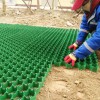 Grass Paver Grid Price Height 68mm Plastic Grass Lawn Grid HDPE Gravel Grid Pavers for Driveway Plastic Grass Paver