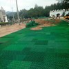 Black Permeable Plastic Grass Pavers Grass Protection Grid Grass Pave Grids For Parking Lots