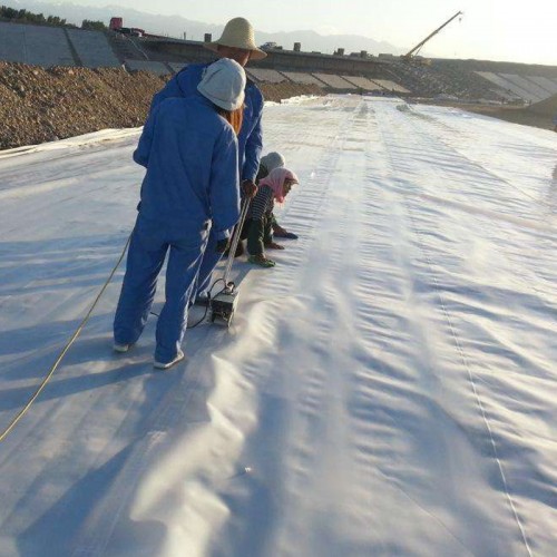 0.75 1mm 1.5mm 2mm 3mm smooth composite HDPE geomembrane roll for landfill tunnel liner