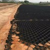 HDPE Geocell for Retaining Walls Protect and Landscape Project Honeycomb Grid Concrete Grass Pavers