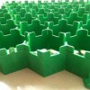 Plastic Grass Paver / Landscape Turf Grass Paver / Grass Grid for Driveway