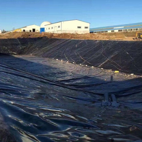 Membrane Geomembrane Membrane Pond Liner Uv Resistant