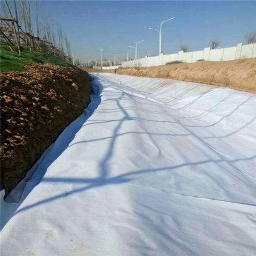 120-1000GSM Reinforced PP/Pet Polyester Woven/Nonwoven Geotextile Price for Road Construction Factory Price