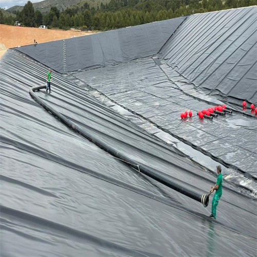 HDPE Geomembrane 1 1.5 mm 2mm Landfill Leachate Biodigester Liners Geomembrane