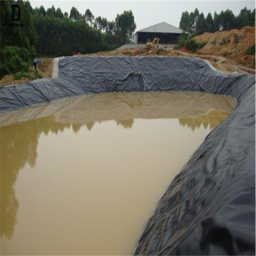 Waterproof Geomembrane HDPE Geomembrane Price HDPE Pond Liner Geomembrane