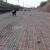 Building Materials Plastic Steel Geogrid