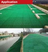 plastic grass paver /plastic paving grid