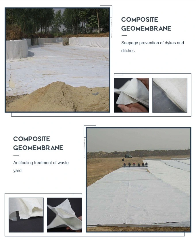 Application of HDPE Plastic Waterproofing Anti-Seepage Composite Geomembrane in Landfill Tailings Treatment