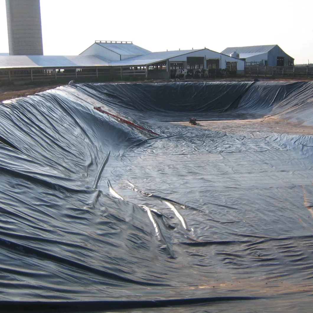 Waterproof Geomembrane HDPE Geomembrane Price HDPE Pond Liner Geomembrane