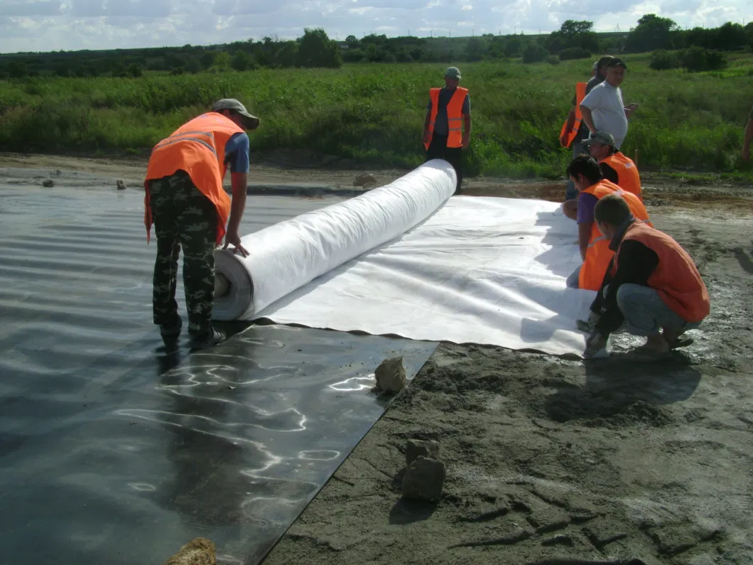 Waterproof Geomembrane HDPE Geomembrane Price HDPE Pond Liner Geomembrane